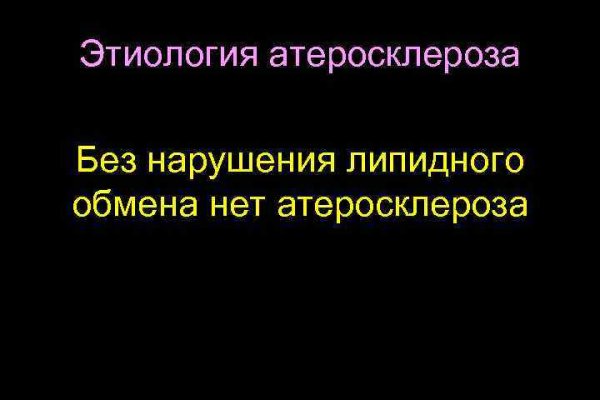 Кракен zerkalo pw