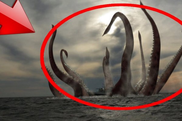 Kraken 15 at