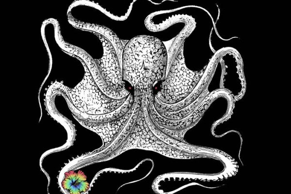 Kraken tor onion зеркало