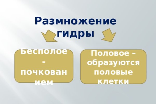 Гидра зайти кракен