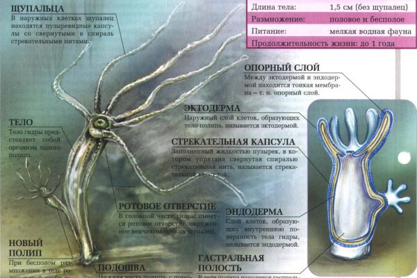 Кракен интернет