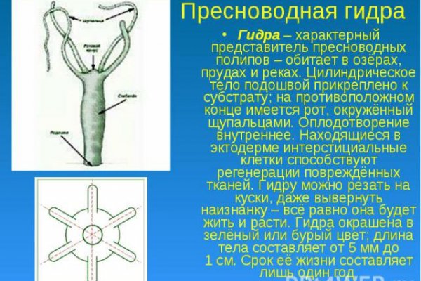 Что с кракеном сайт на сегодня